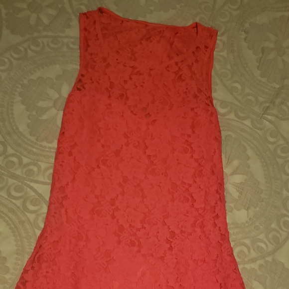 Express Lace Dress - Picture 1 of 6